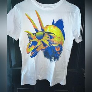 VGUC Children’s Place Boy’s Graphic Dinosaur Tee - Sz XL/14